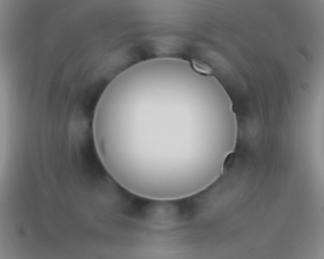 X0000114220327200910231448