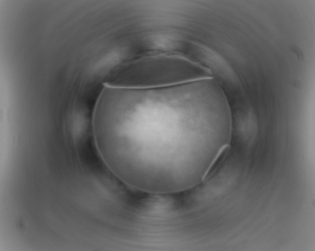 X0000114220328200910231448