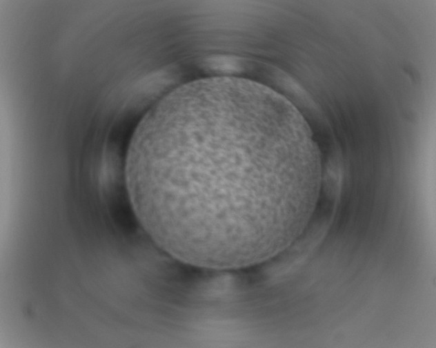 X0000114220330200910231448