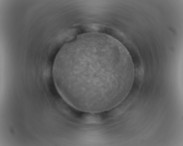 X0000114220331200910231448