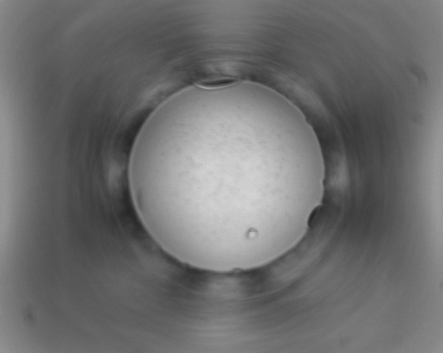 X0000114220332200910231448