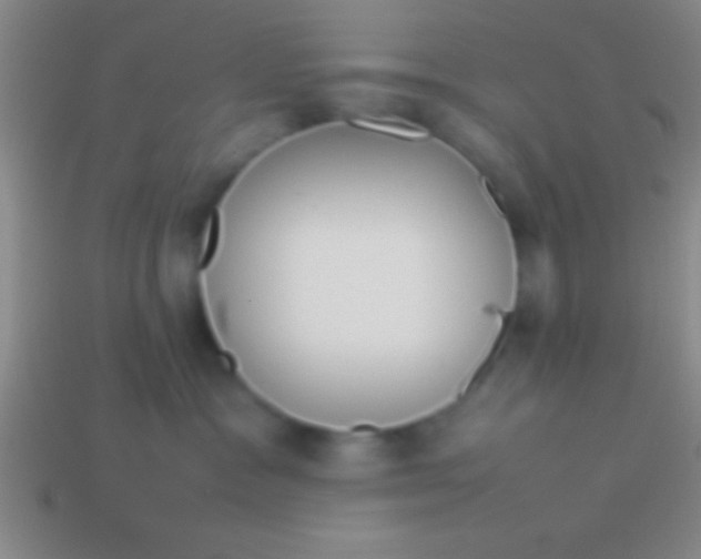 X0000114220333200910231448