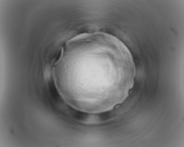 X0000114220335200910231448