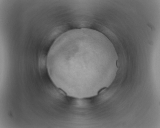 X0000114220336200910231448