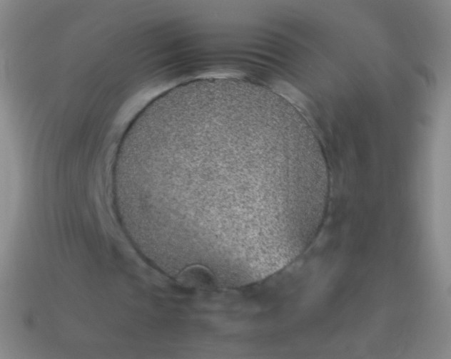 X0000114220337200910231447