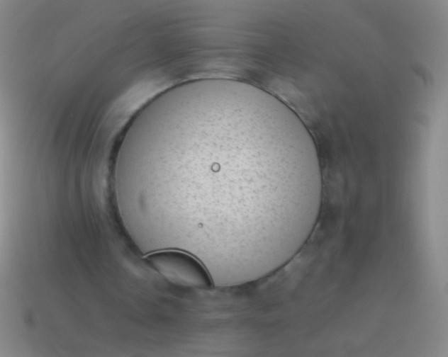 X0000114220338200910231447