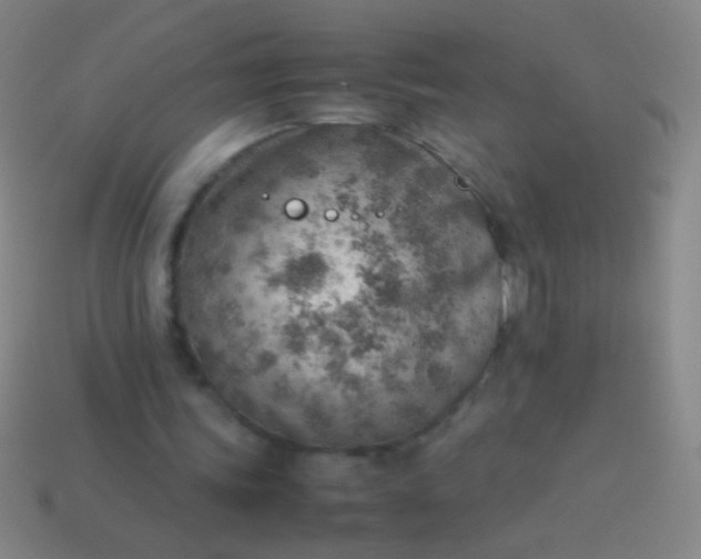 X0000114220339200910231447