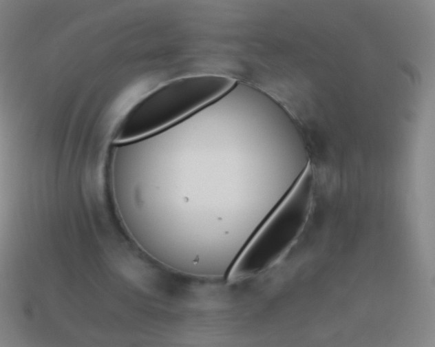 X0000114220340200910231447