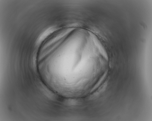 X0000114220341200910231447