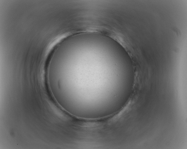 X0000114220342200910231447