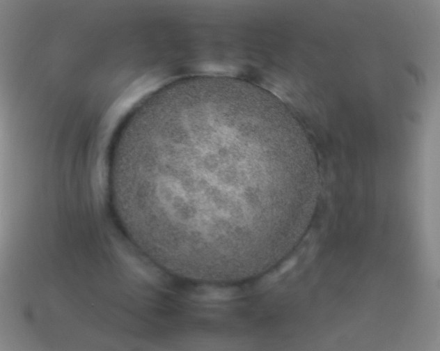 X0000114220343200910231447