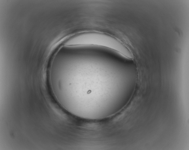 X0000114220344200910231447