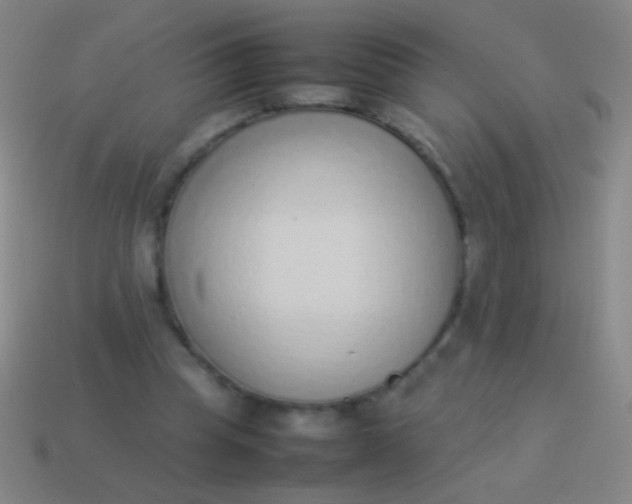 X0000114220345200910231447