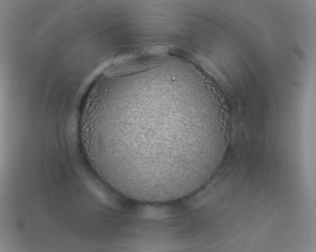 X0000114220346200910231447