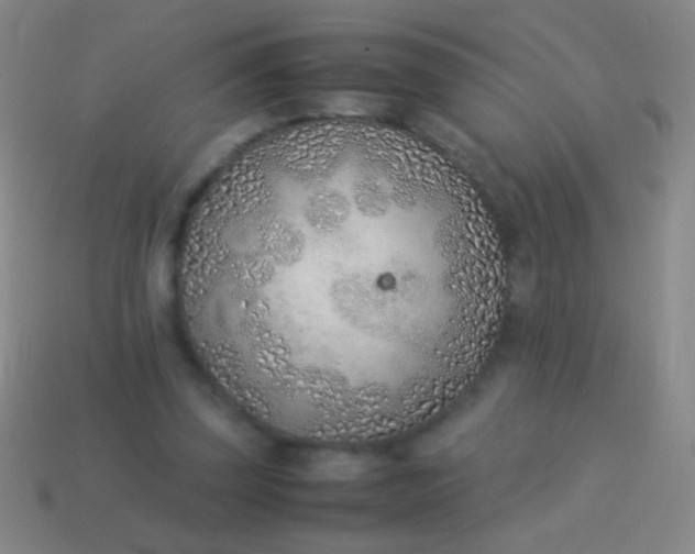 X0000114220347200910231447