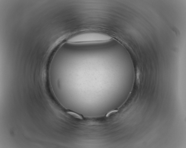 X0000114220348200910231447