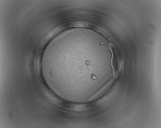 X0000114220349200910231447