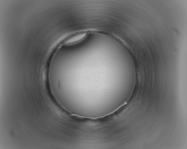 X0000114220350200910231447