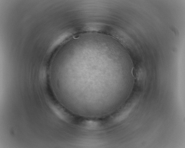 X0000114220352200910231447