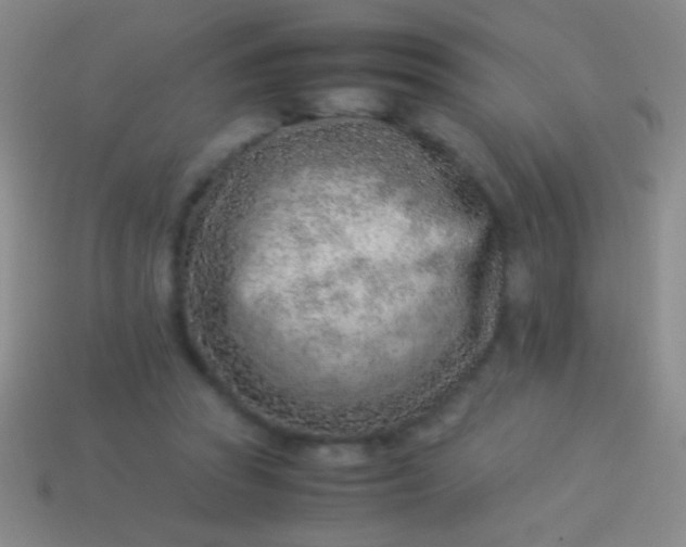 X0000114220353200910231448