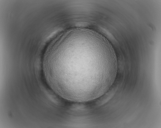 X0000114220354200910231448