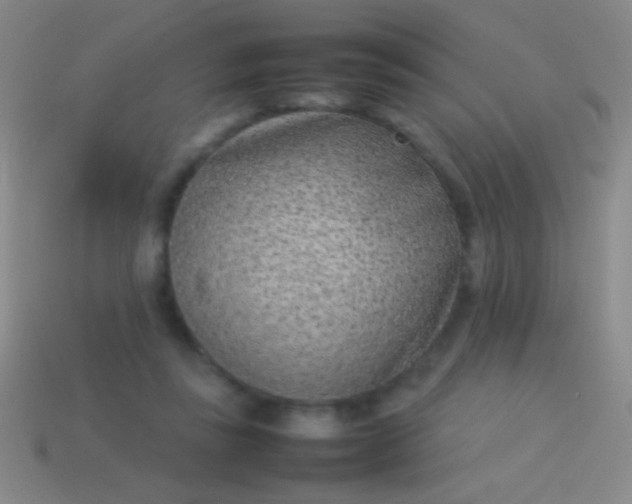 X0000114220355200910231448