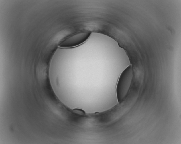 X0000114220356200910231448