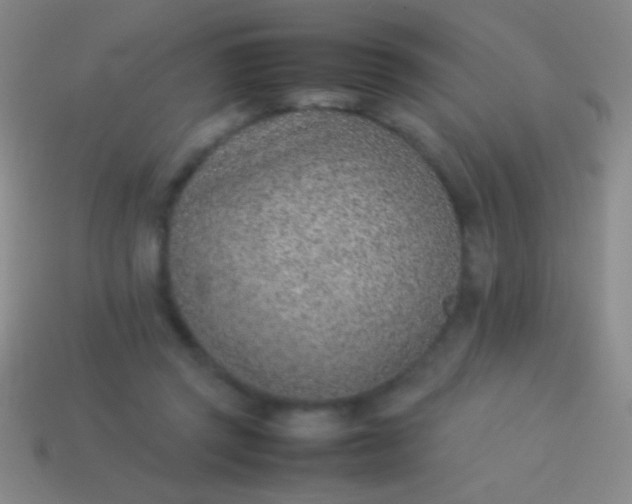 X0000114220357200910231448