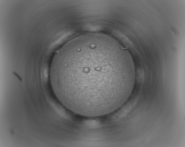 X0000114220358200910231448