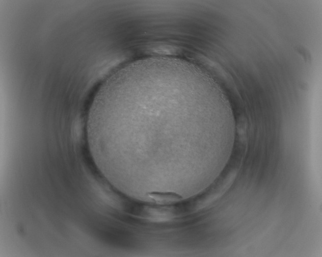 X0000114220359200910231448