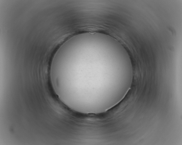 X0000114220360200910231448