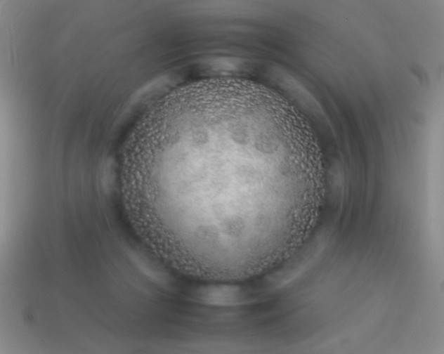 X0000114220361200910231448