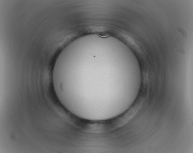 X0000114220362200910231448