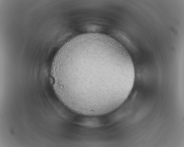 X0000114220363200910231448