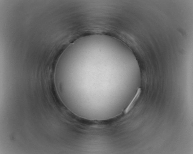 X0000114220364200910231448