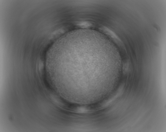 X0000114220365200910231448