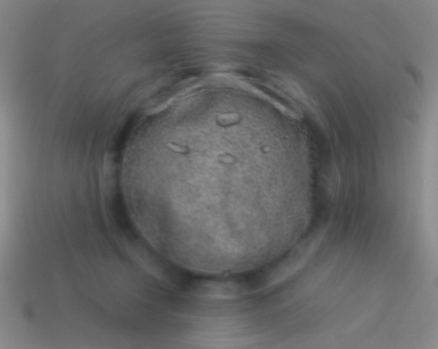 X0000114220366200910231448