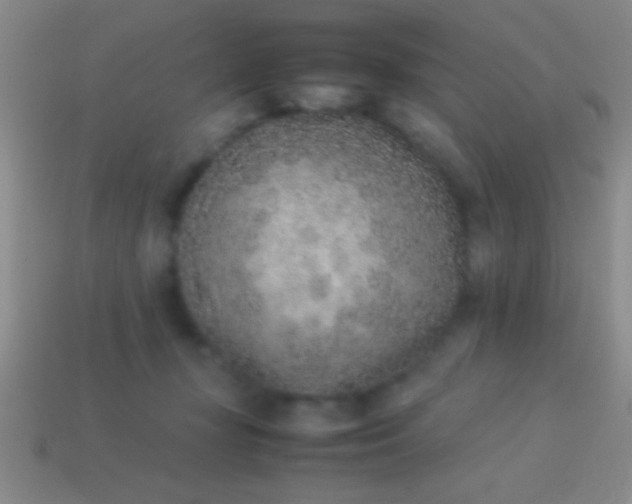 X0000114220367200910231448