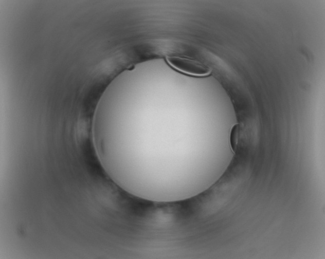 X0000114220368200910231448