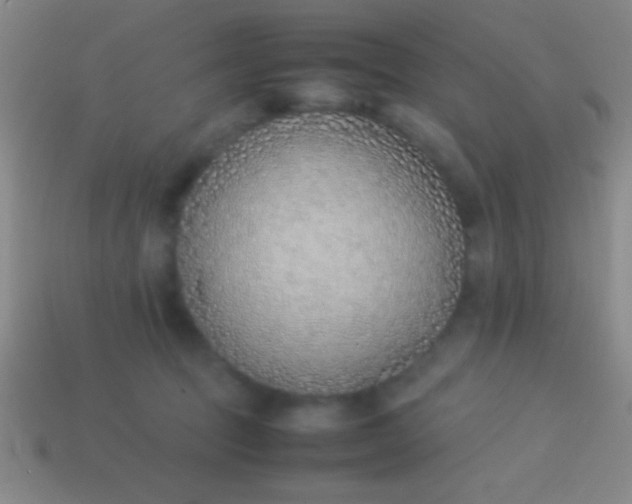 X0000114220369200910231448