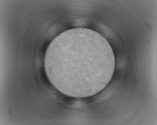 X0000114220370200910231448