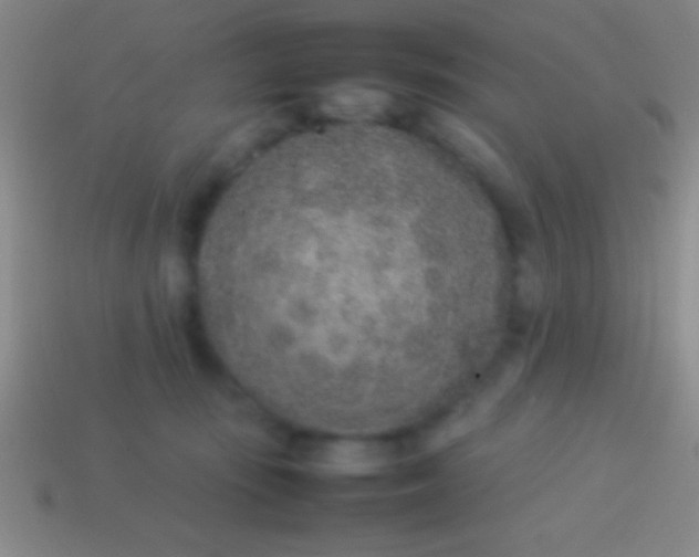 X0000114220371200910231448