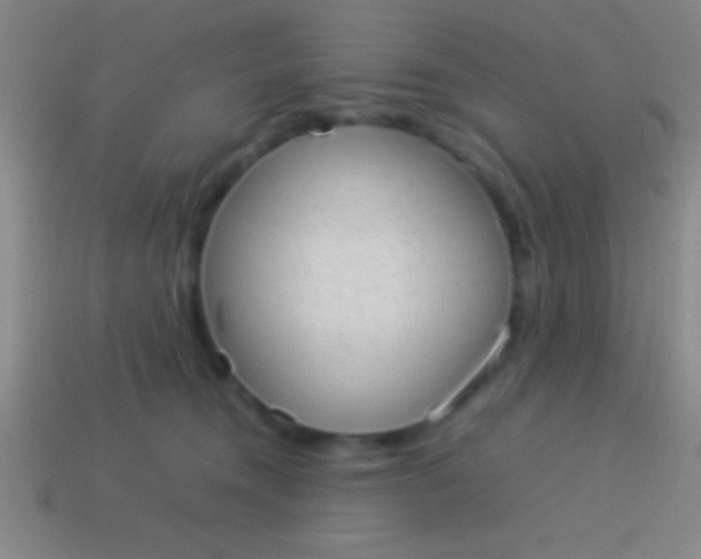 X0000114220372200910231448