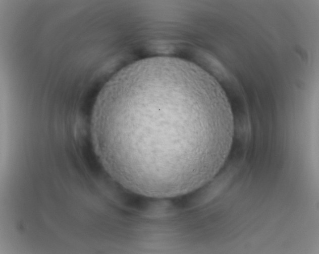 X0000114220374200910231448