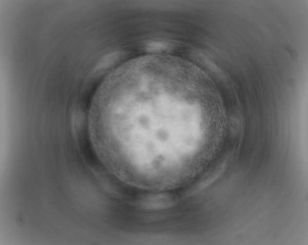 X0000114220375200910231448