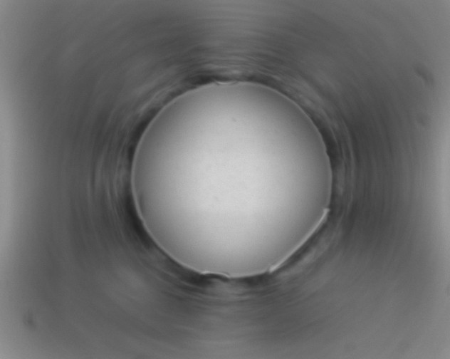 X0000114220376200910231448