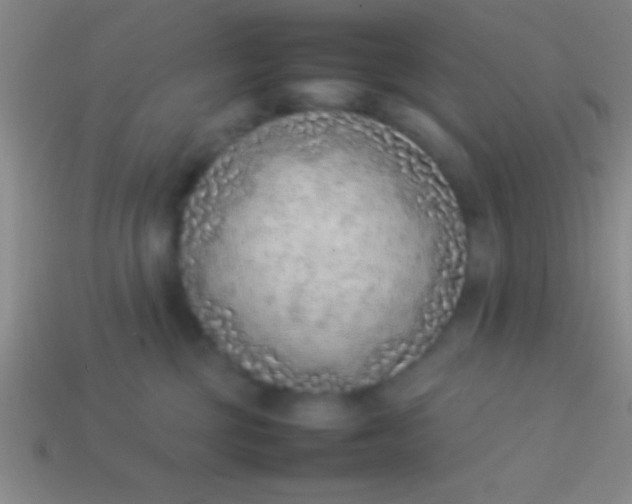 X0000114220377200910231448