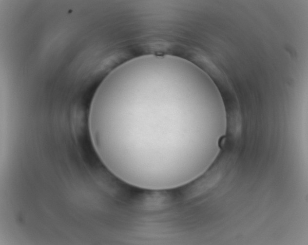 X0000114220378200910231448