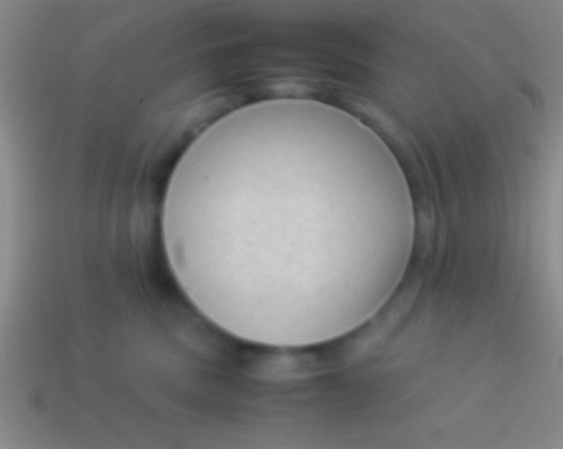 X0000114220379200910231448