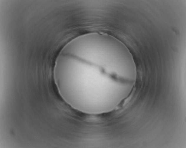 X0000114220380200910231448